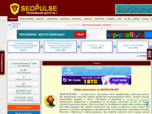 Seopulse 