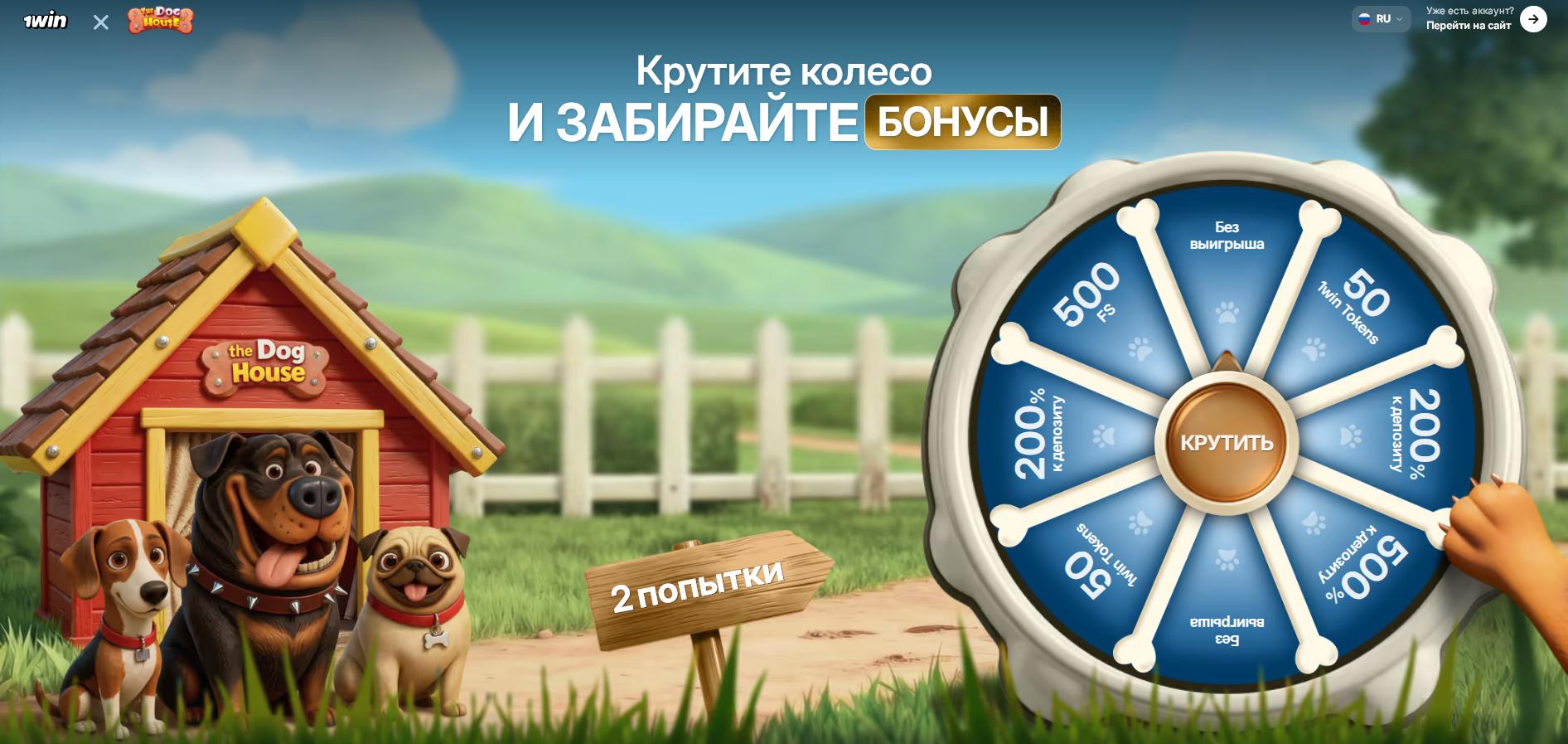 Dog house