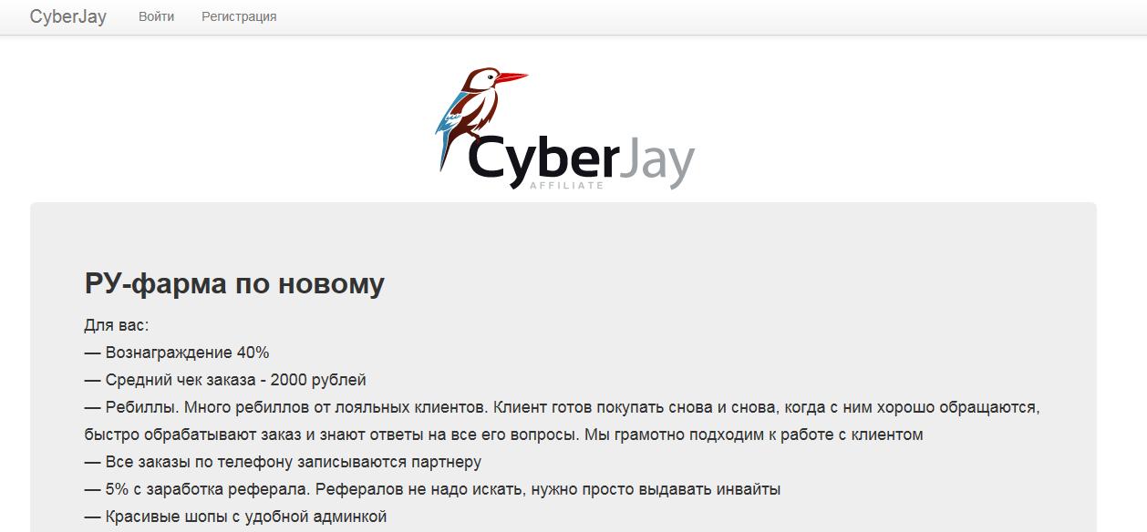 Cyberjay